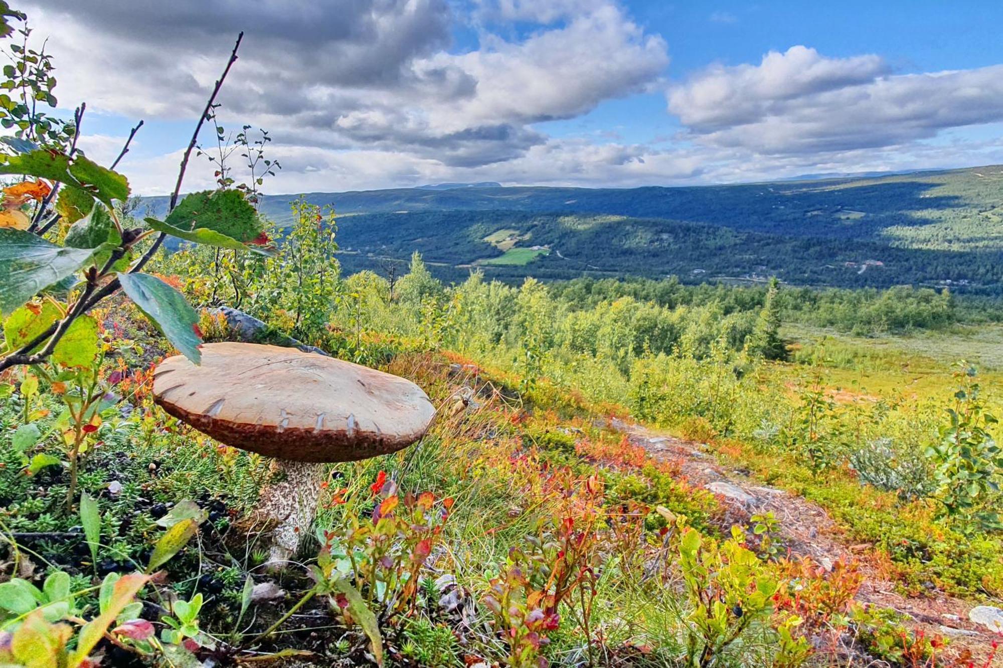 Dagali Fjellpark Apartment Bagian luar foto